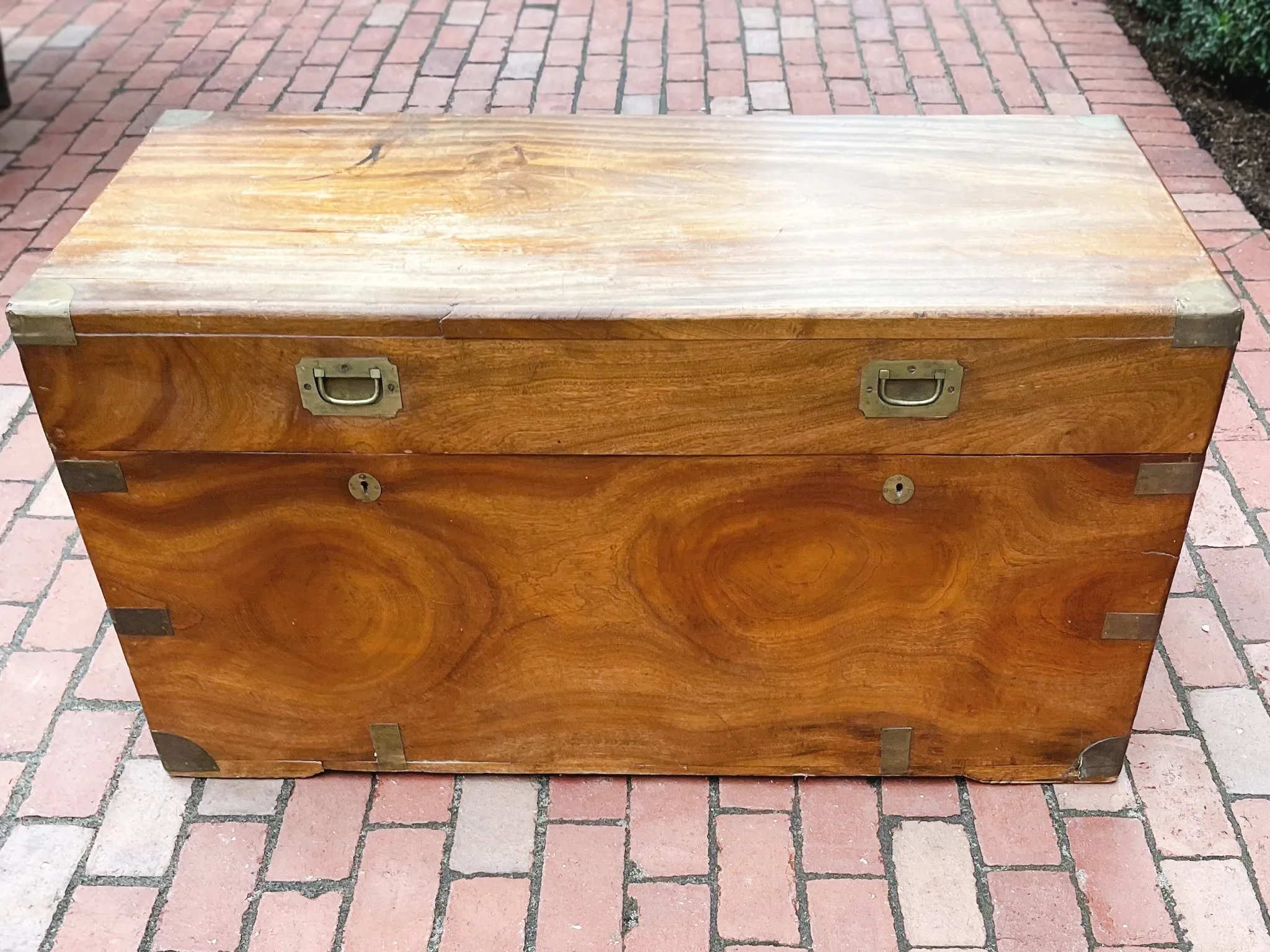 19th Century English Camphorwood Chest