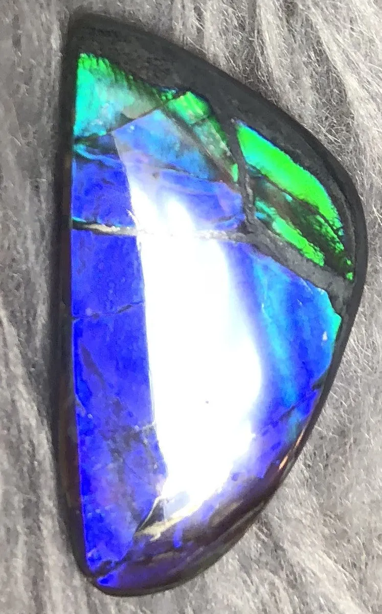 30 x 17 mm  Natural  Free Form . FFN 336 Ammolite  ナチュラル　ルース　アンモライト フリーフォーム