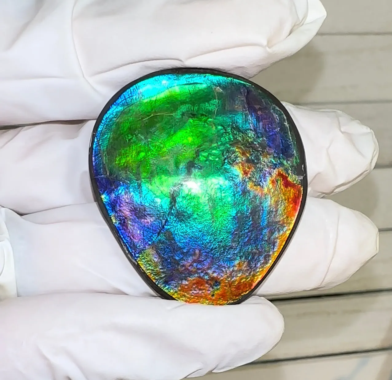 42x36x4.5㎜ Natural  Free Form . FFNT 189  Ammolite  Floral BEAUTY FREE SHIPPING! ナチュラル　ルース　アンモライト フリーフォーム
