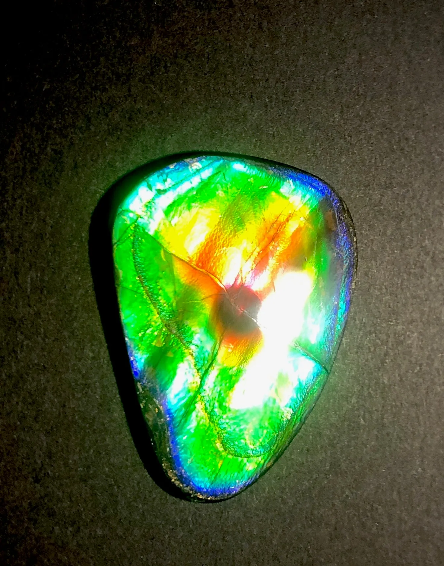 45x35 mm  Natural  Free Form . FFN 370  Ammolite  Free Shipping! ナチュラル　ルース　アンモライト 送料無料！