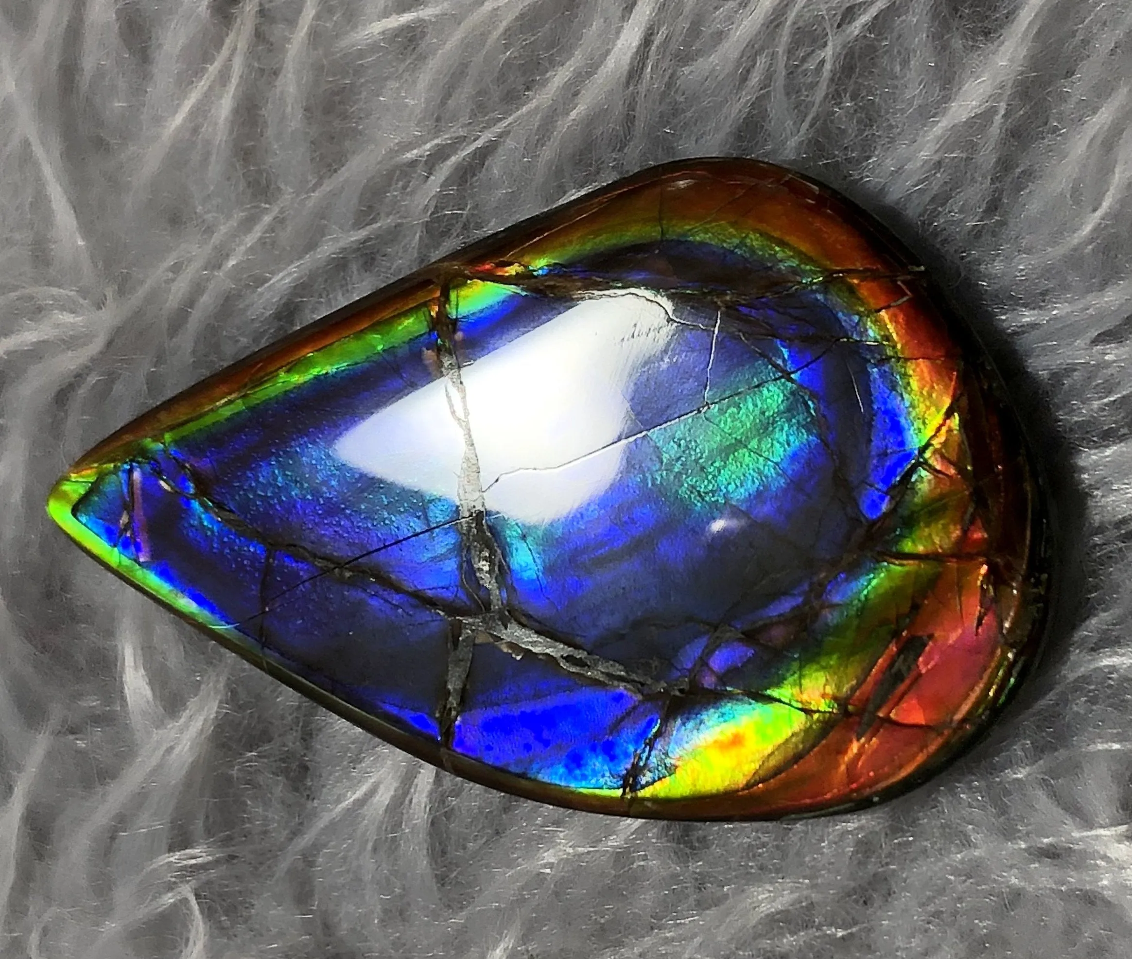 48x30 mm  Top Grade Natural  Free Form . FFNT 112 Ammolite  Free Shipping! ナチュラル　ルース　アンモライト ケース付　送料無料！