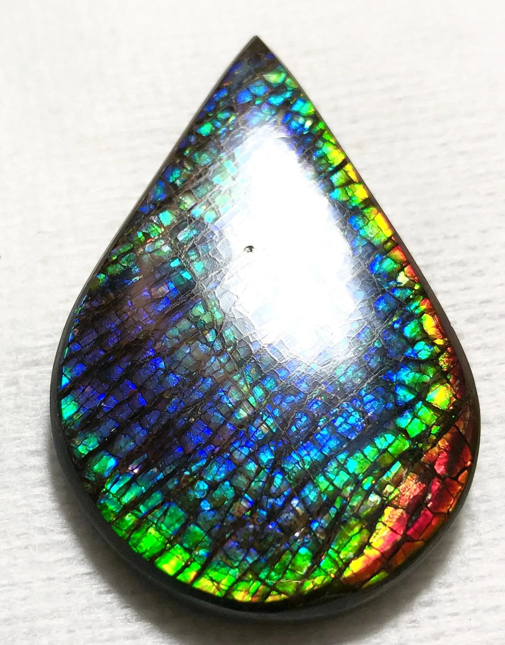 58 x 38 mm  Natural  Free Form . FFNT 120 Ammolite  ナチュラル　ルース　アンモライト フリーフォーム