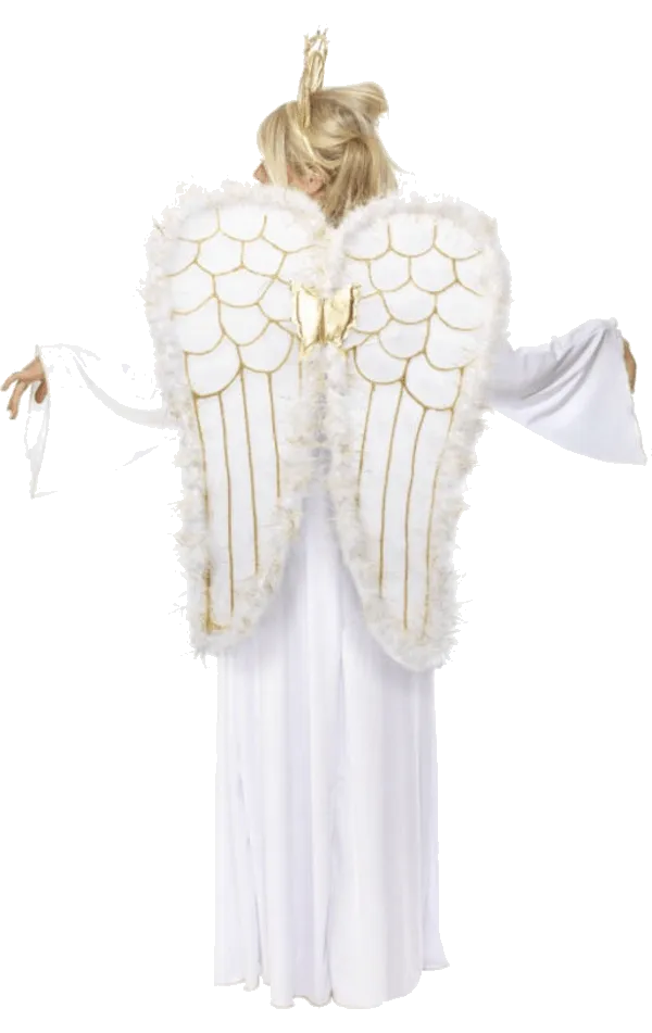 Adult Angel Costume with Wings