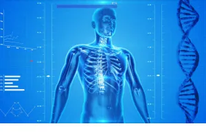 Anatomy & Physiology Honors