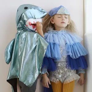 Blue Bird Cape and Cap Dress Up Set