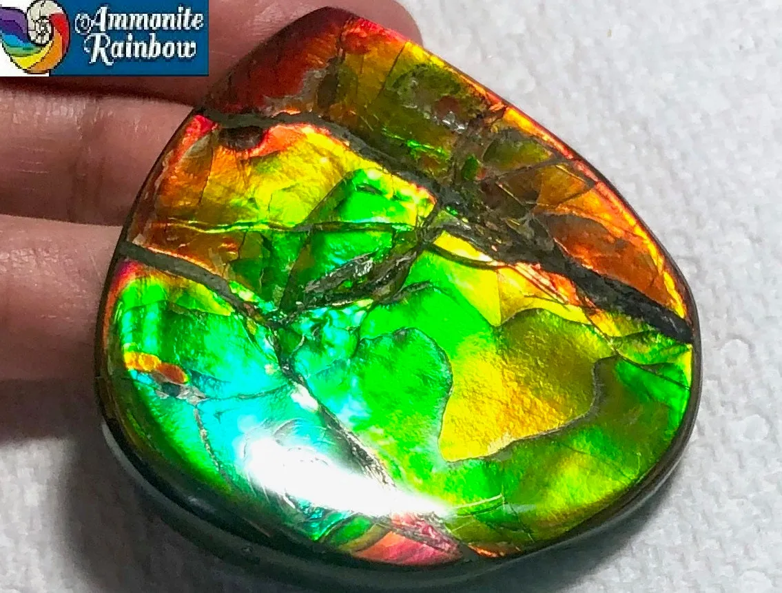 Certificate 54 x50x7㎜ 42.7g  Natural  Free Form . FFNT 134 Ammolite  ナチュラル　ルース　アンモライト フリーフォーム
