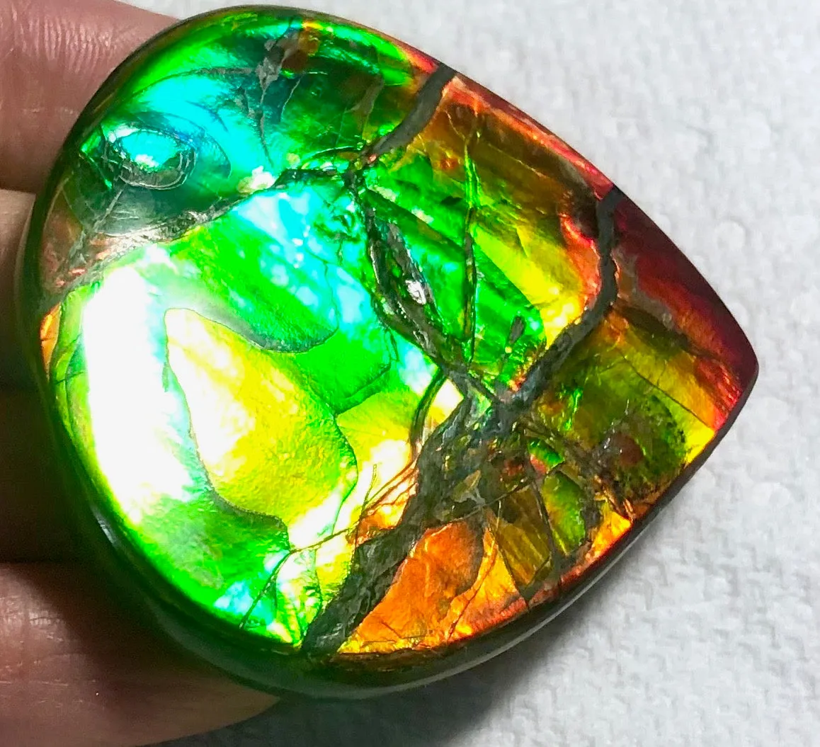 Certificate 54 x50x7㎜ 42.7g  Natural  Free Form . FFNT 134 Ammolite  ナチュラル　ルース　アンモライト フリーフォーム