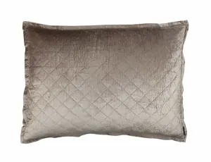 Chloe Luxe European Pillow / Champagne Velvet 27X36