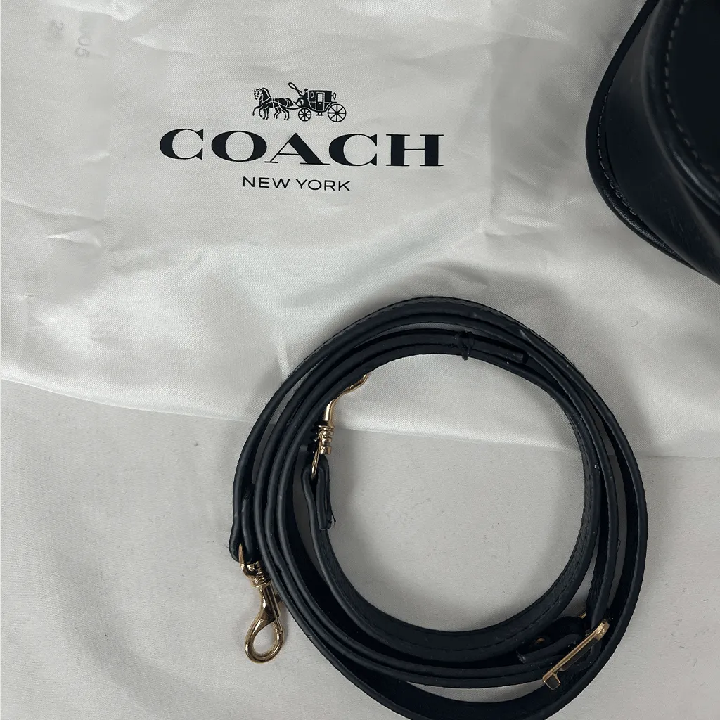 Coach Swinger 20 Shoulder Bag