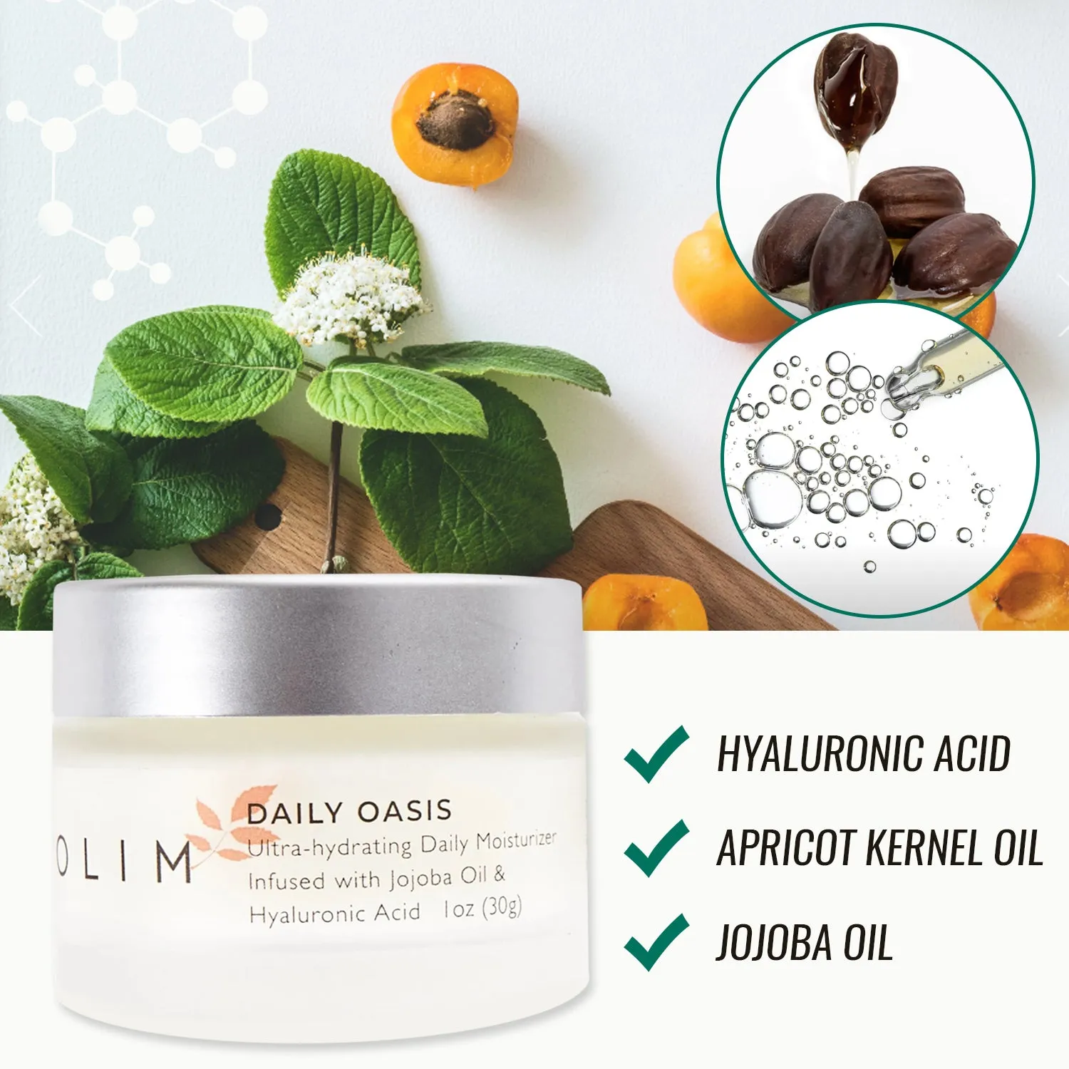 Daily Oasis Moisturizer