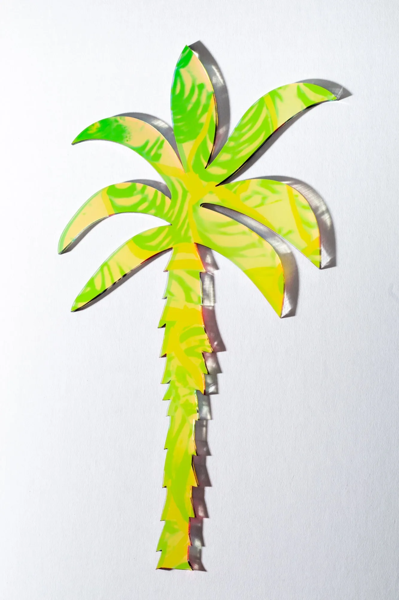 Date Palm