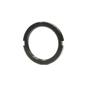 DT Swiss ISO Track Lock Ring