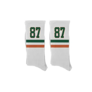 FAMU School Year Socks