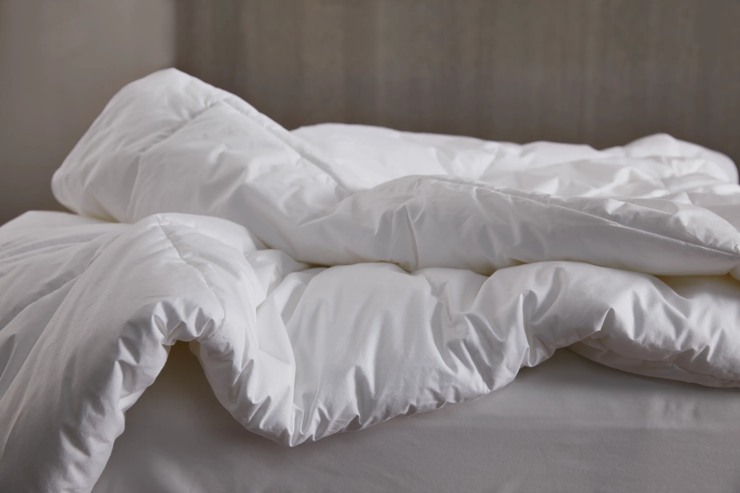 Feather Down Comforter