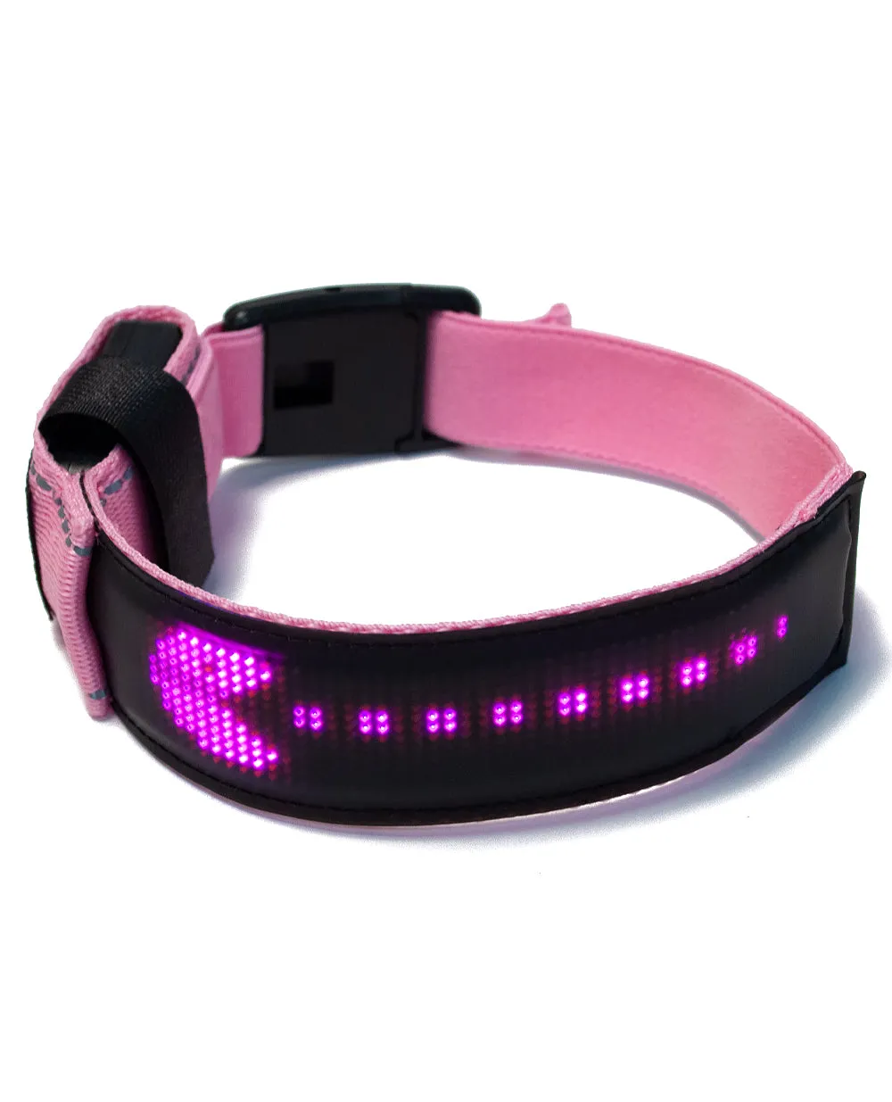FUTURE COLLAR