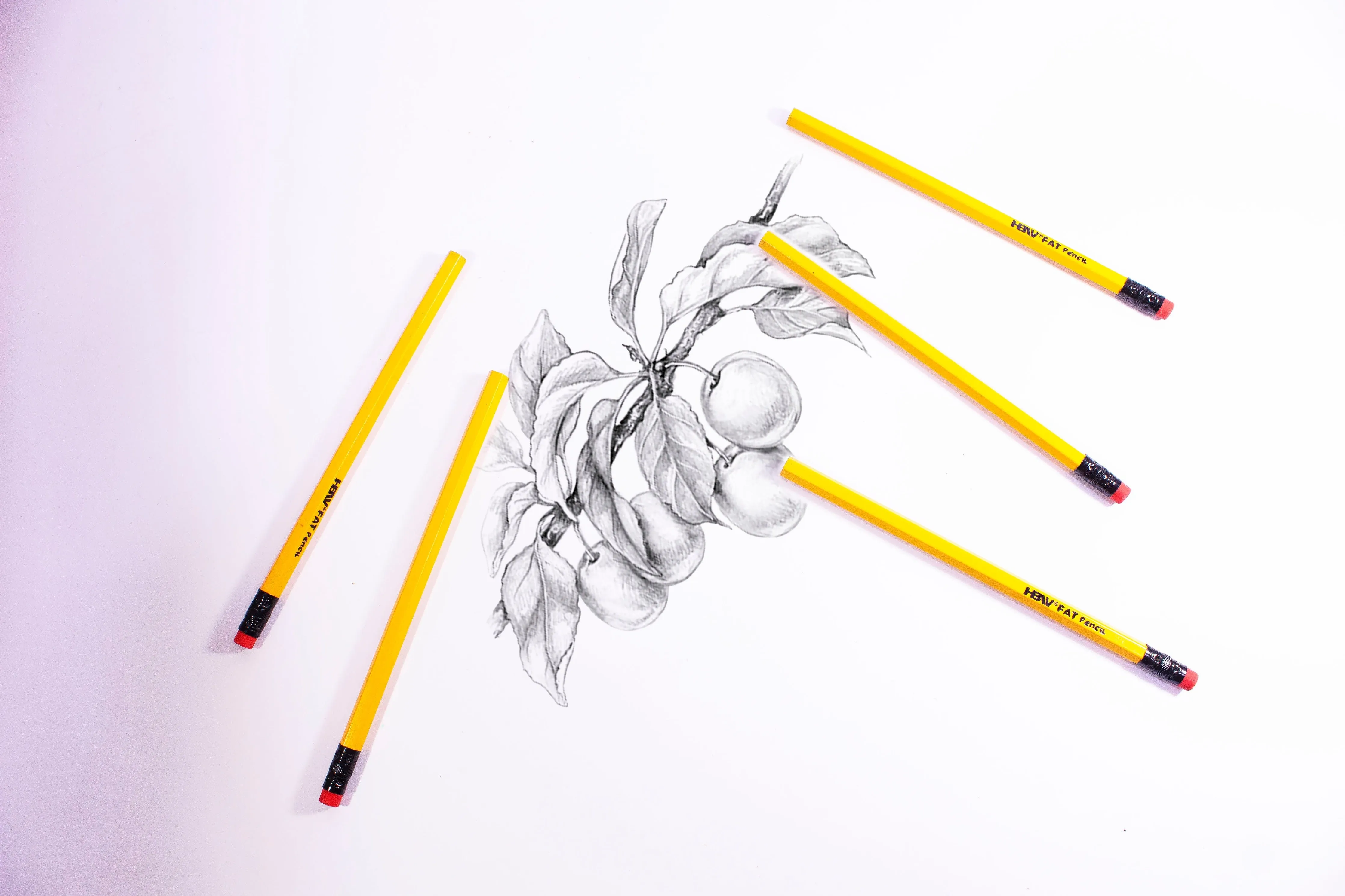 HBW Wood-Cased Fat Pencil (12pcs)