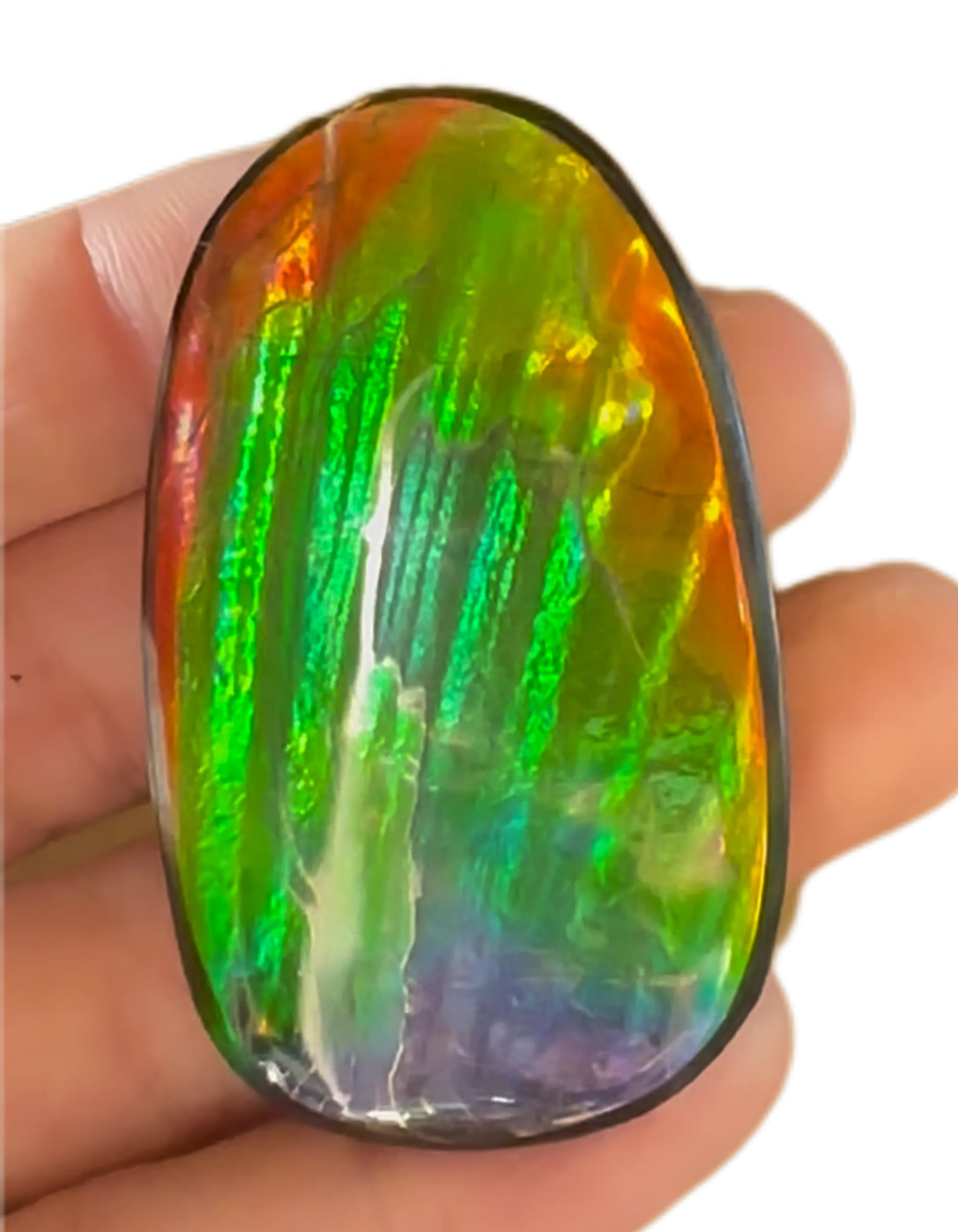 HIgh grade Ammolite with a horn, NATURAL Hand POLISHED, Loose stone  54x32.4mm Loose Gemstones,gemstone FFNT195 Free shipping!