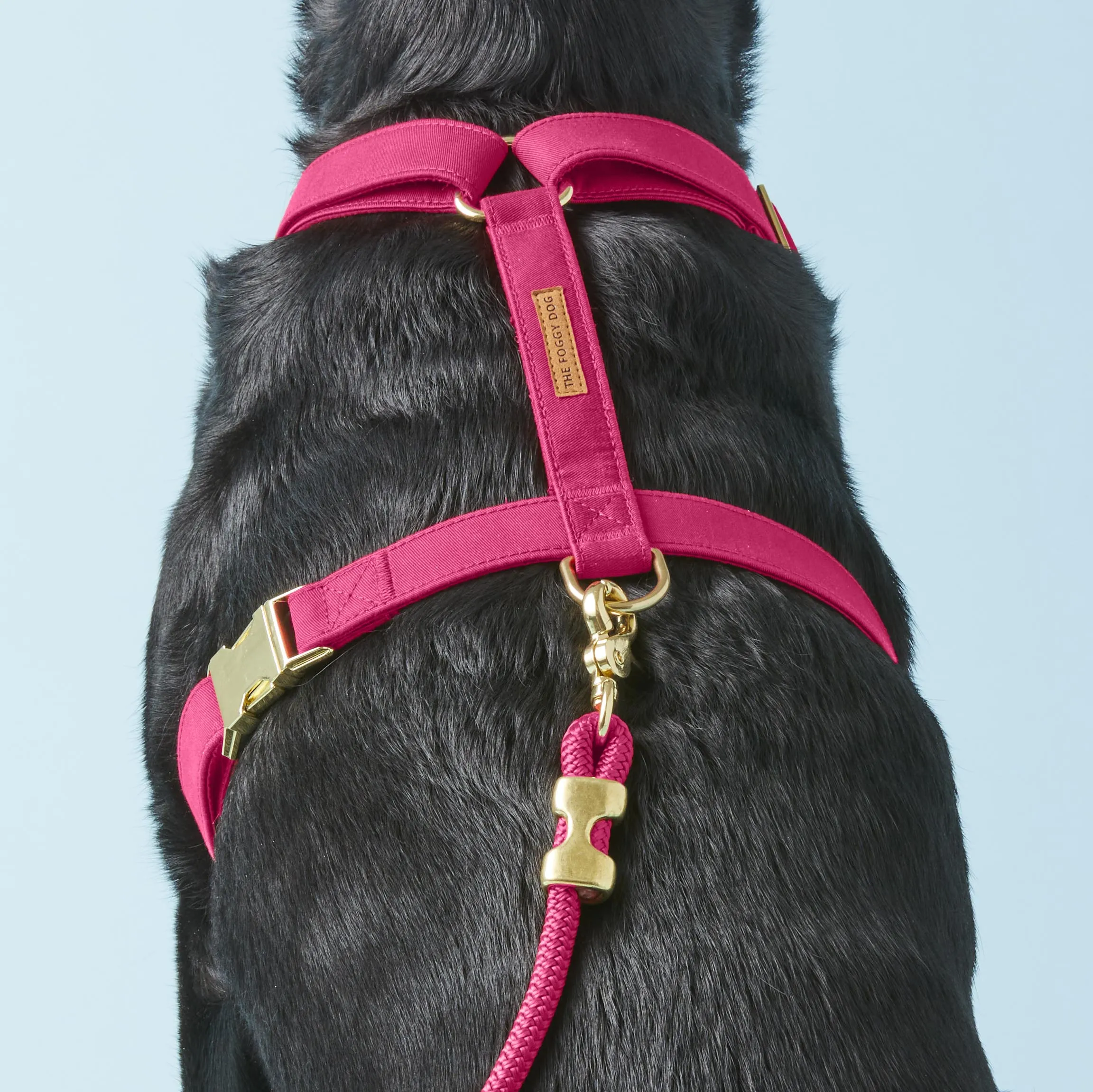 Hot Pink Dog Harness