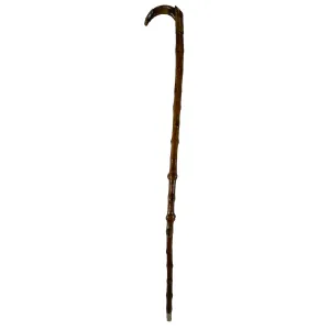 Irish Chased Silver Mounted Horn and Blackthorn Cane / Walking Stick