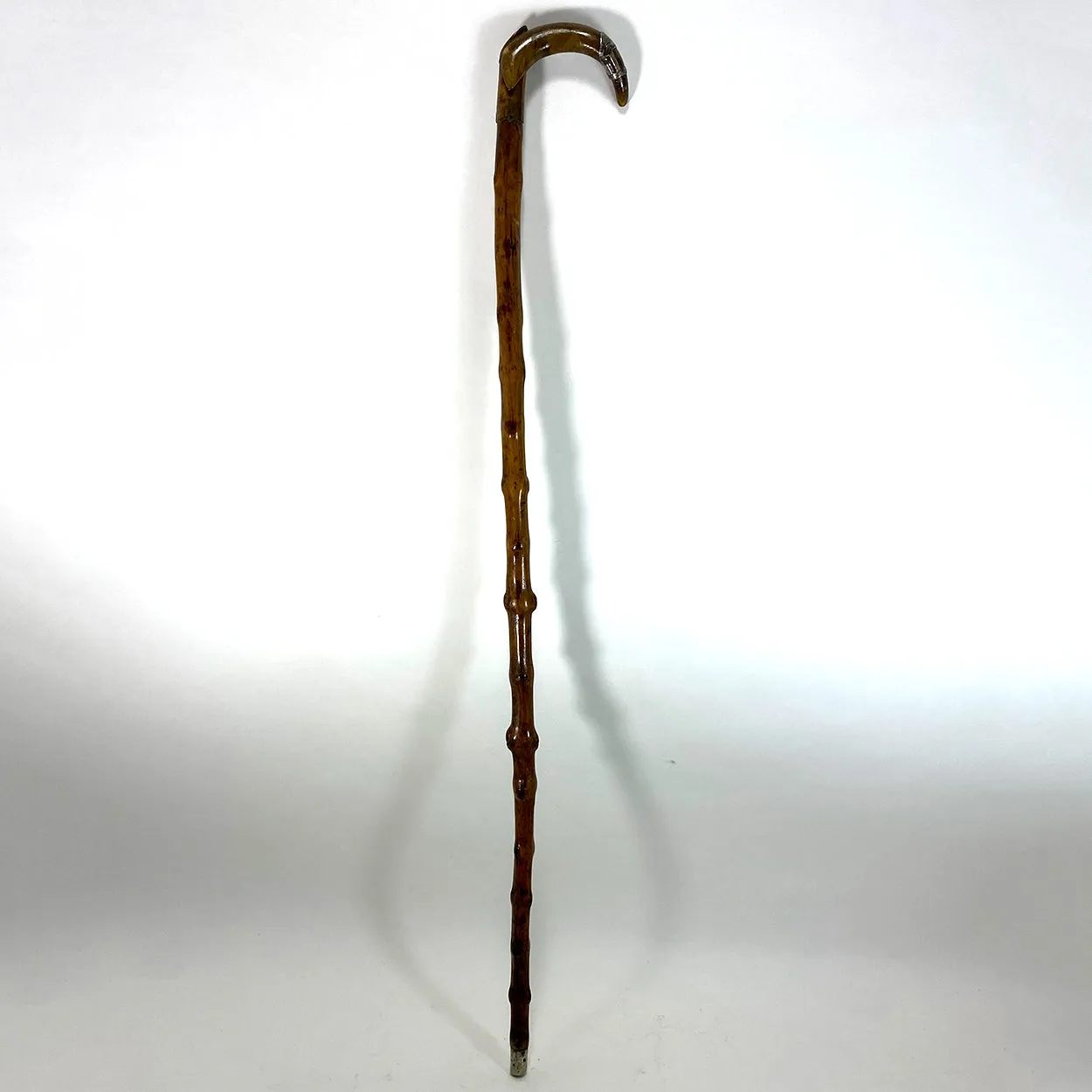 Irish Chased Silver Mounted Horn and Blackthorn Cane / Walking Stick