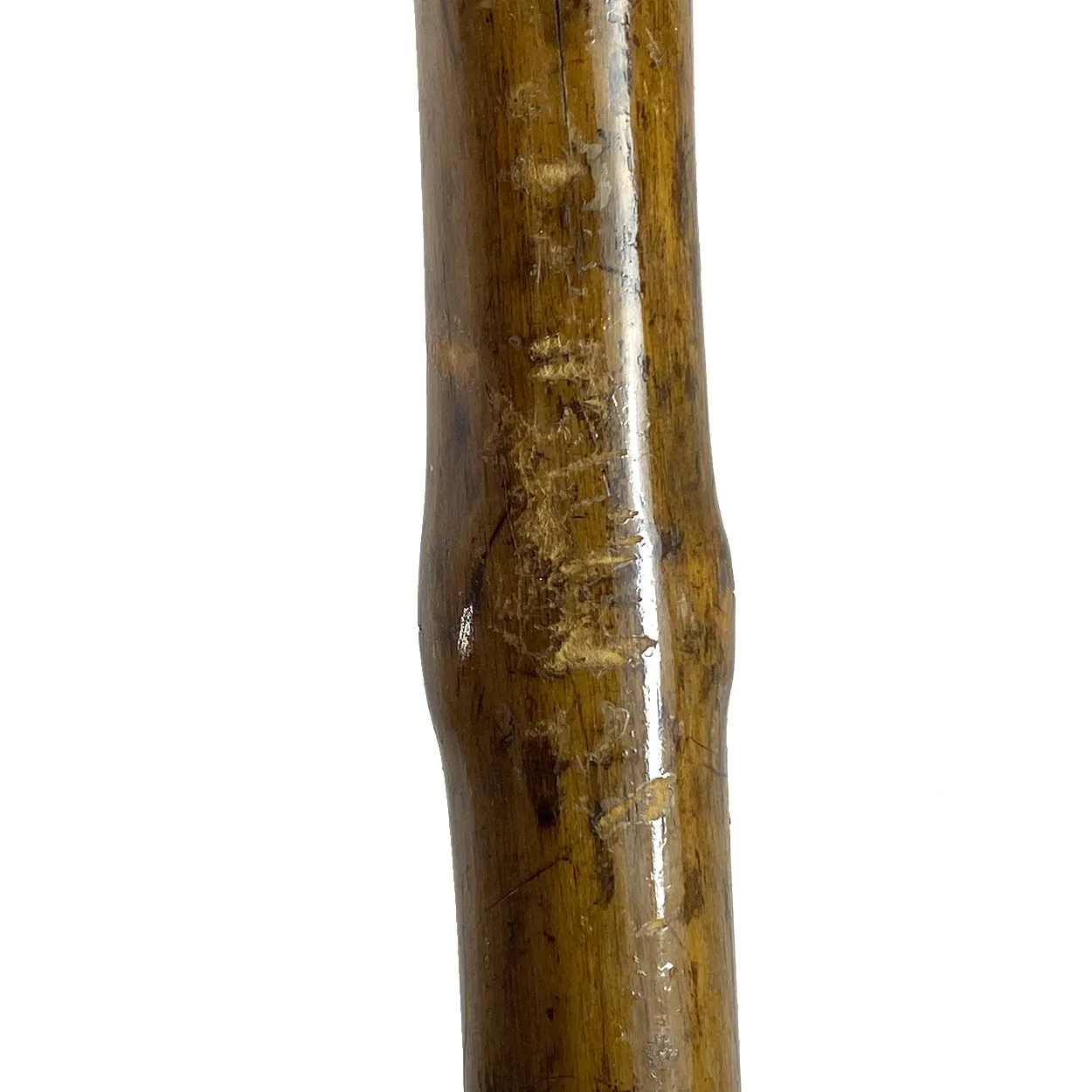 Irish Chased Silver Mounted Horn and Blackthorn Cane / Walking Stick