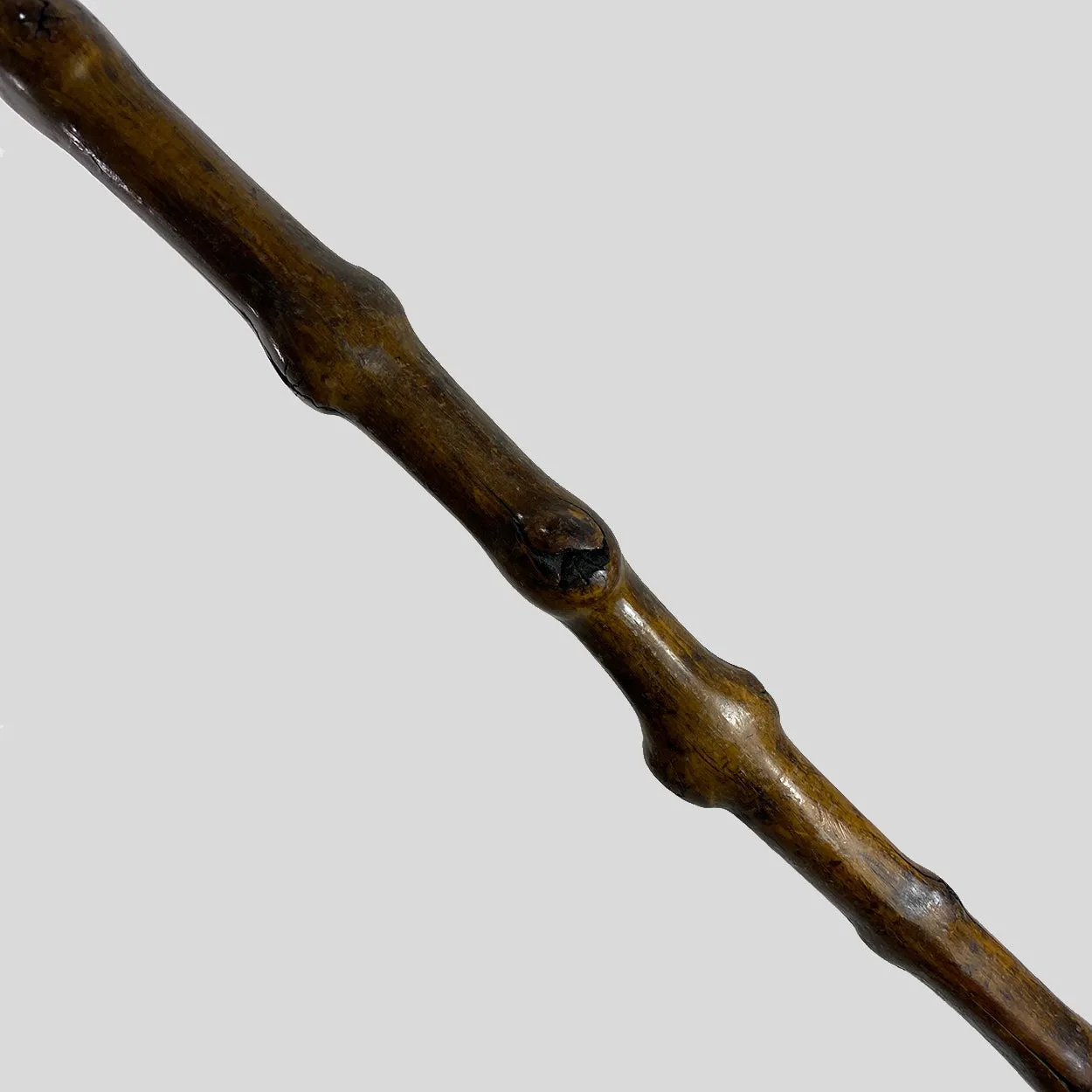 Irish Chased Silver Mounted Horn and Blackthorn Cane / Walking Stick