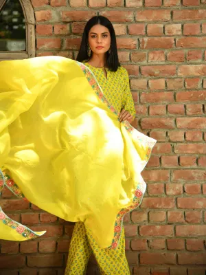 Joy of the Sun Kurta pant and dupatta