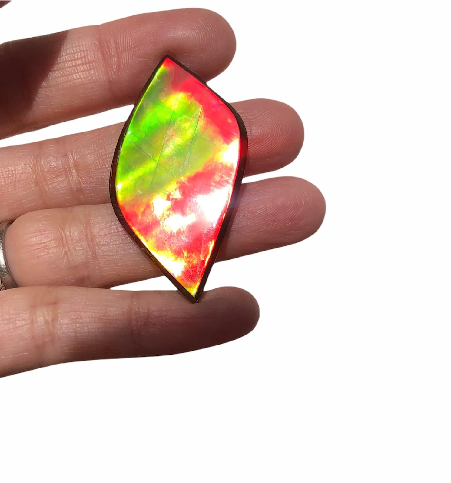 Natural hand polished, Free Form . FFNT161 Ammolite High Grade.