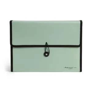 NEW U Brands Performance Poly 13 Pocket File Folder, Olive