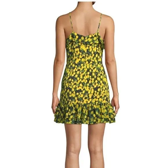 Parker Erica lemon print summer garden party spaghetti strap mini dress size 2