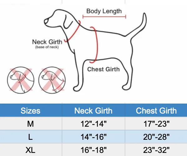 Popsicles and Watermelon Reversible Harness