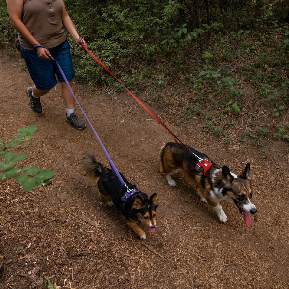 Ruffwear Front Range™ Dog Leash