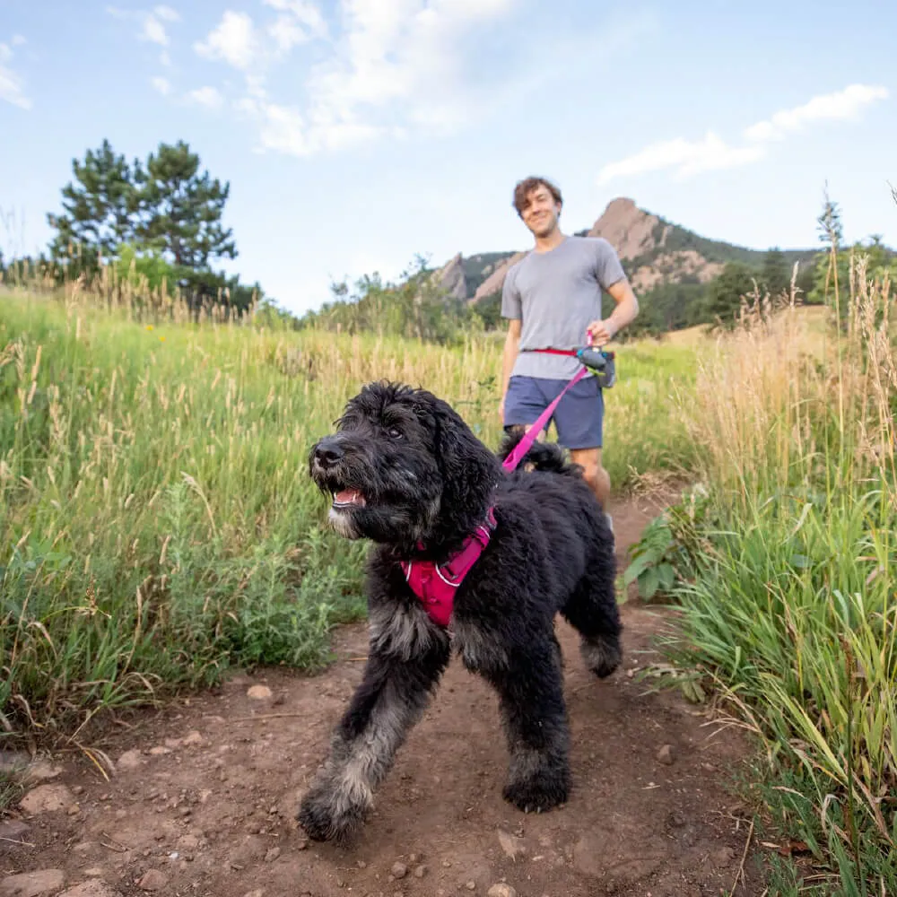 Ruffwear Front Range™ Dog Leash