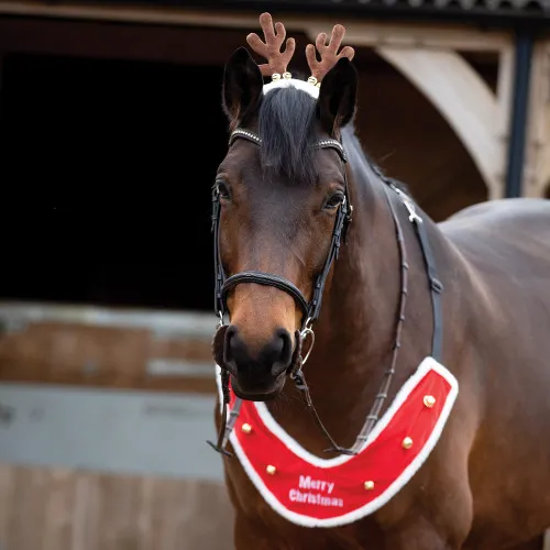 Sleigh Bells Fancy Dress Horse Breastplate