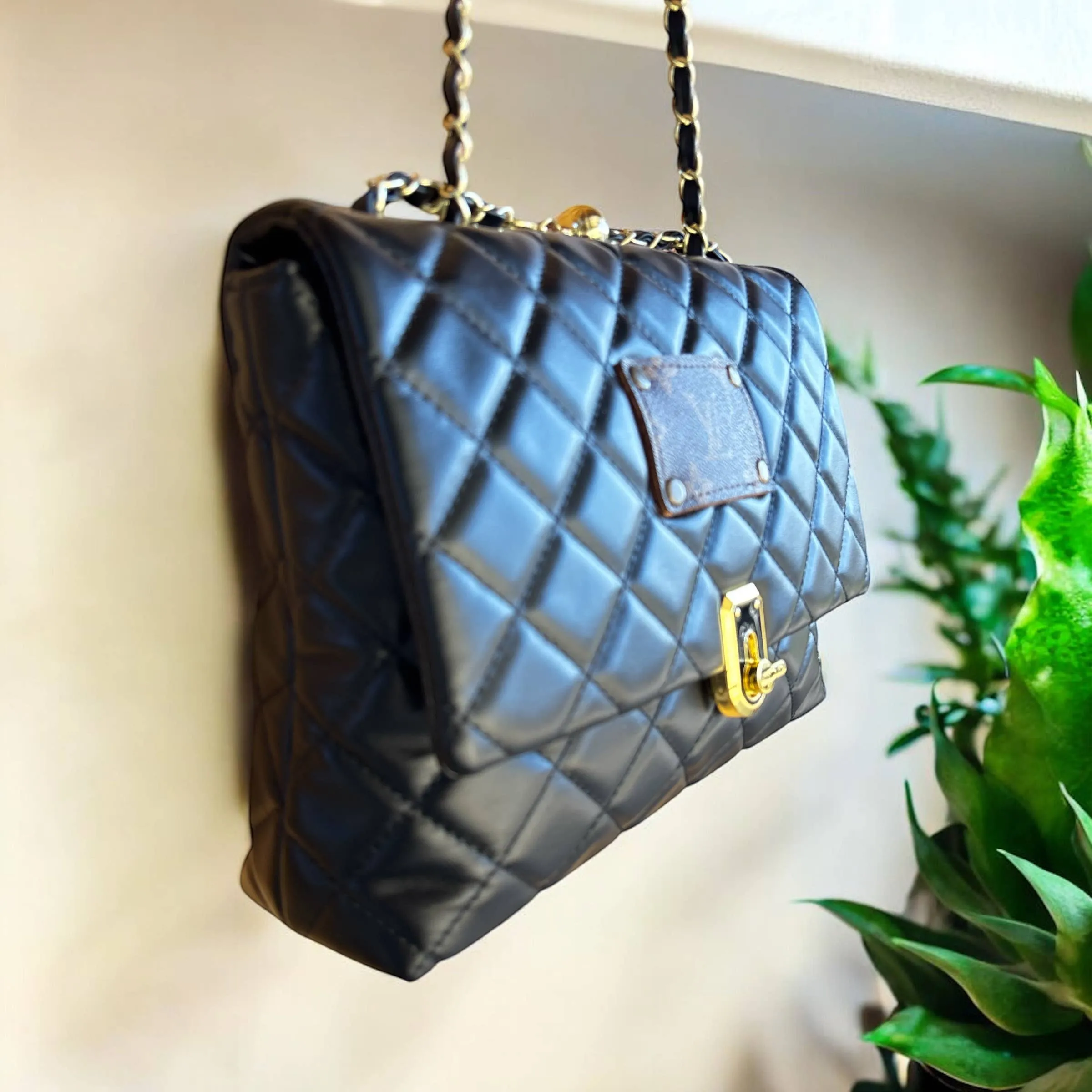 The Chloe