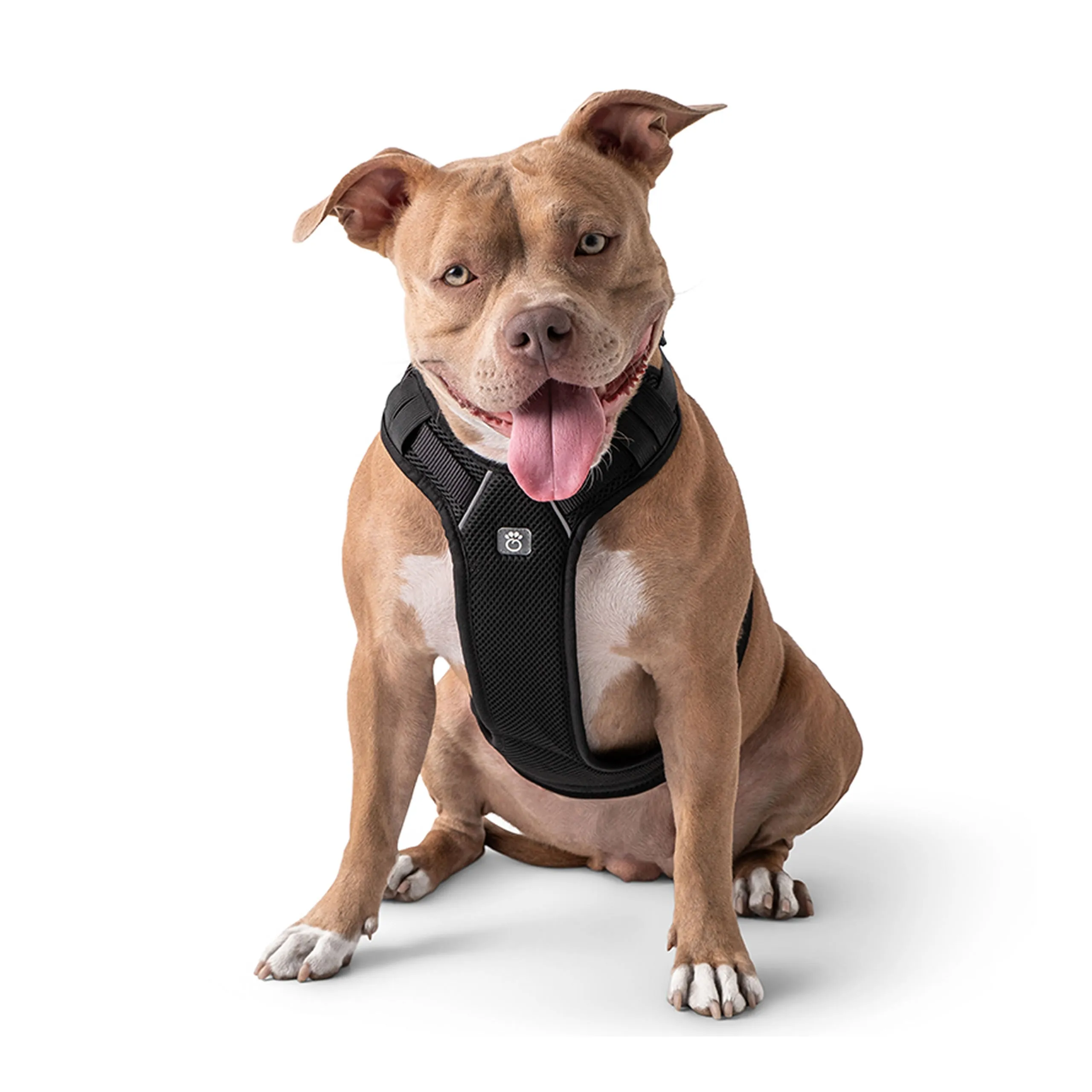 Travel Dog Harness - Black