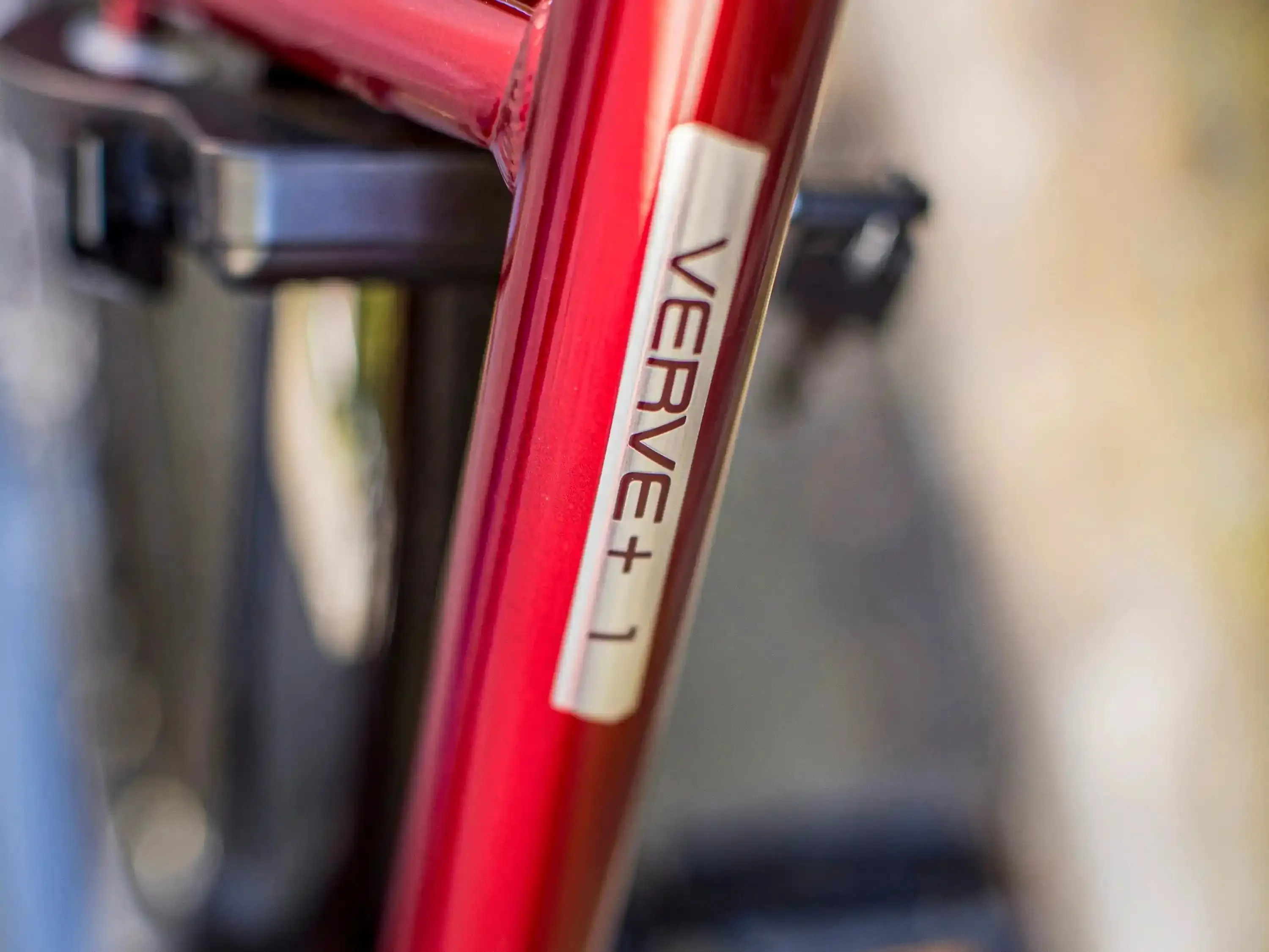 Verve   1 Lowstep