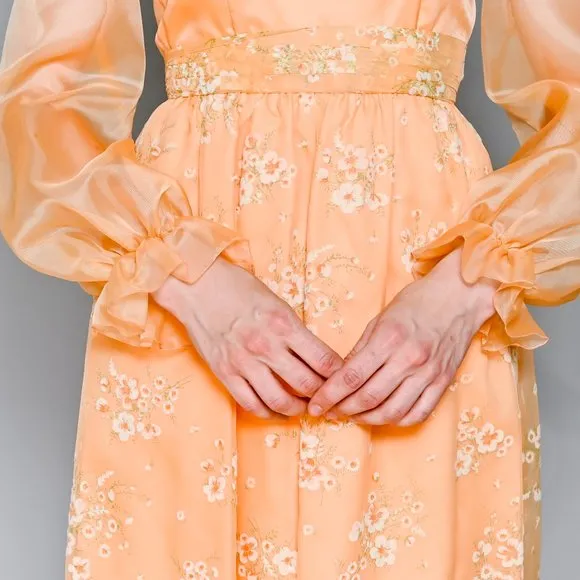 VINTAGE Floral Organza Apricot Maxi Dress XS