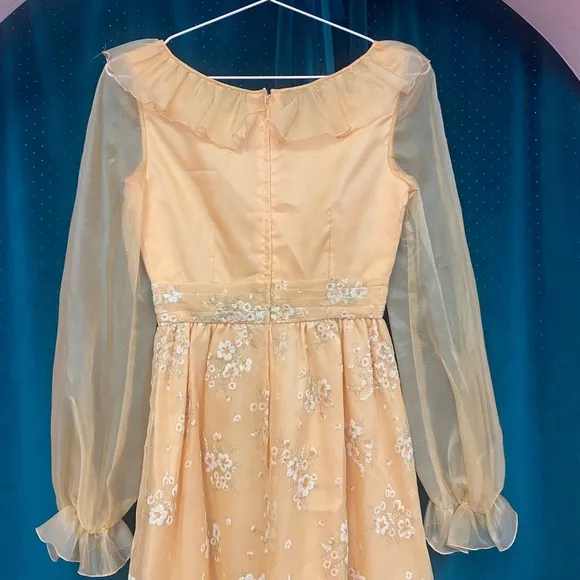 VINTAGE Floral Organza Apricot Maxi Dress XS