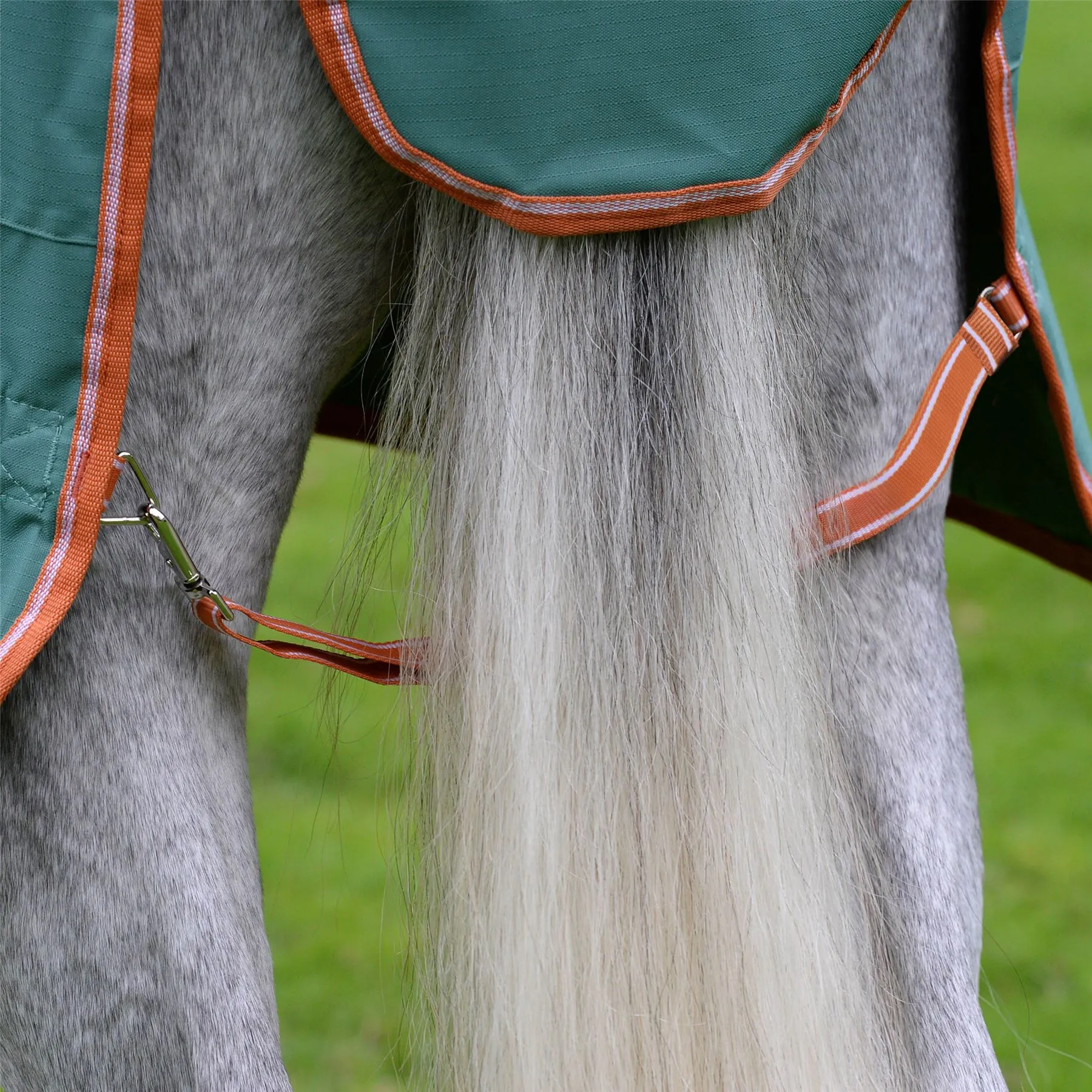 Weatherbeeta Comfitec Tyro Combo Neck Medium