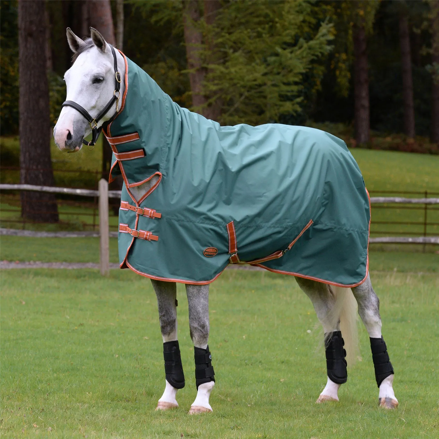 Weatherbeeta Comfitec Tyro Combo Neck Medium