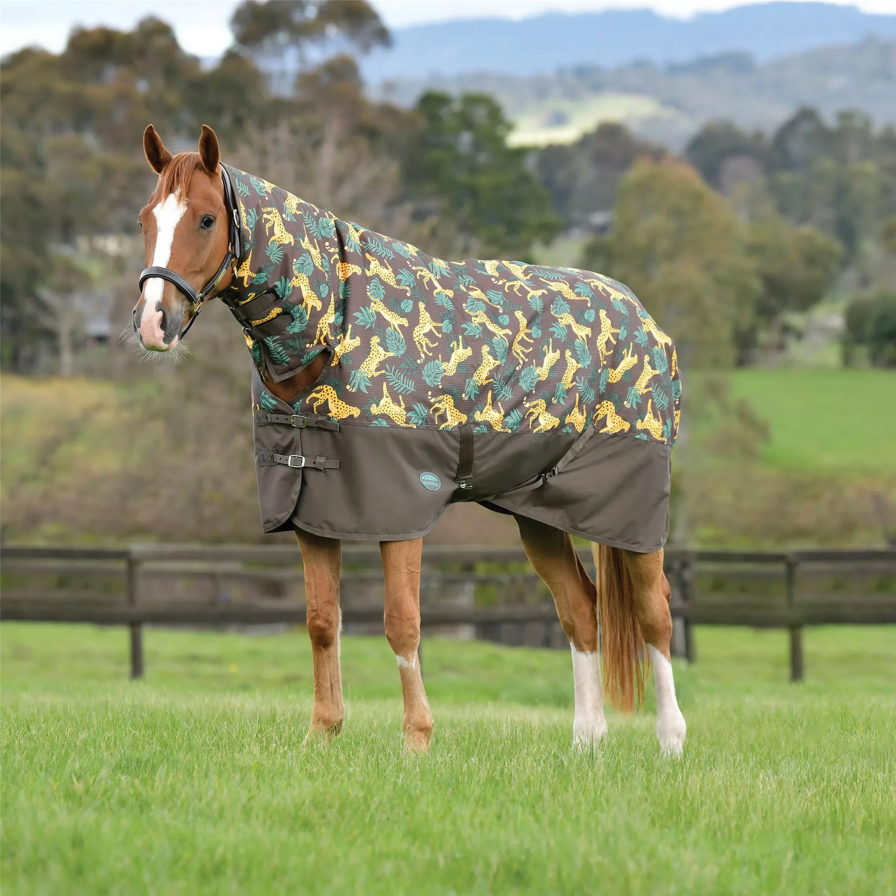 Weatherbeeta Comfitec Tyro Combo Neck Medium