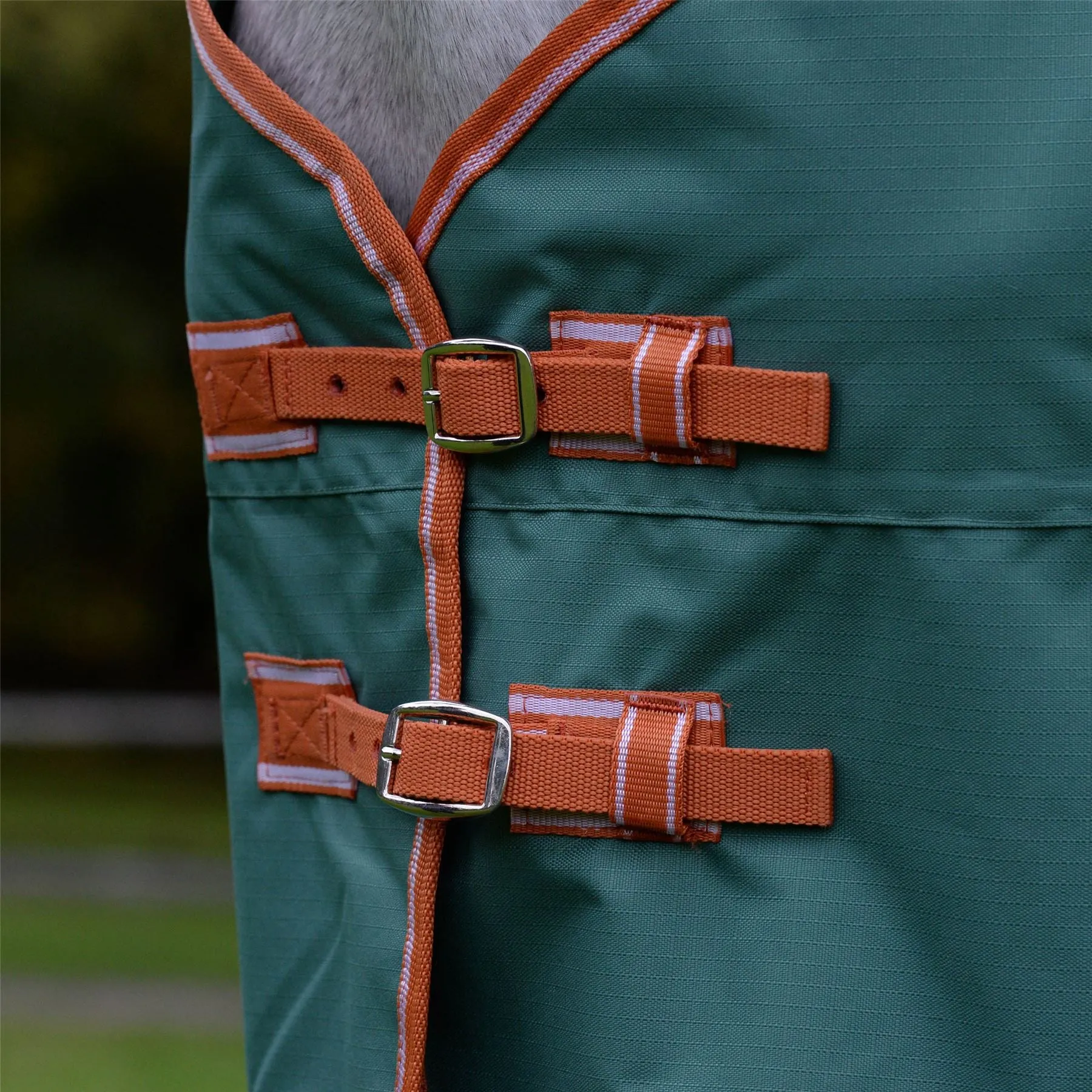 Weatherbeeta Comfitec Tyro Combo Neck Medium