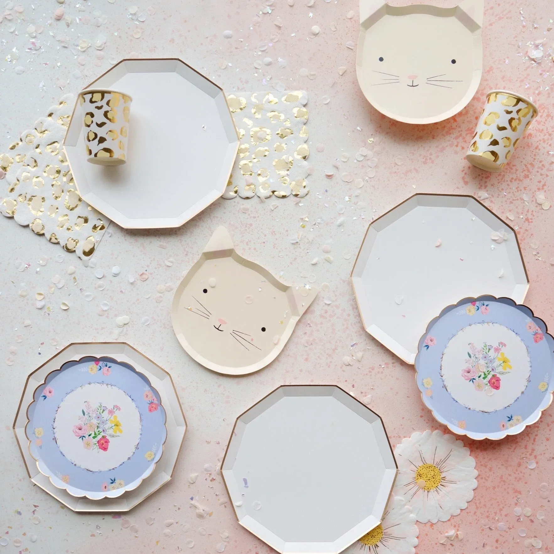 White Dinner Plates