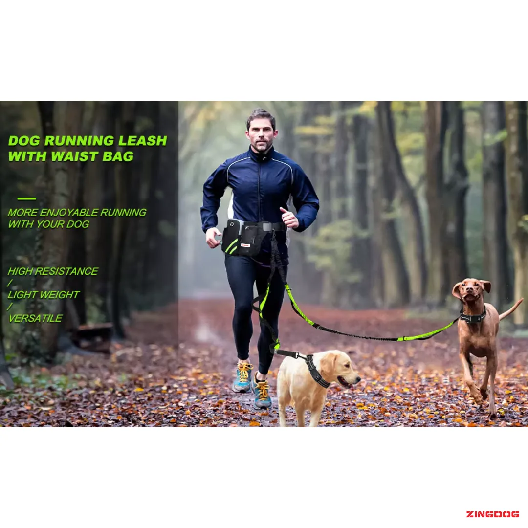 ZINGDOG Hands-Free Dog Leash with Waist Pouch for Running, Walking & Hiking