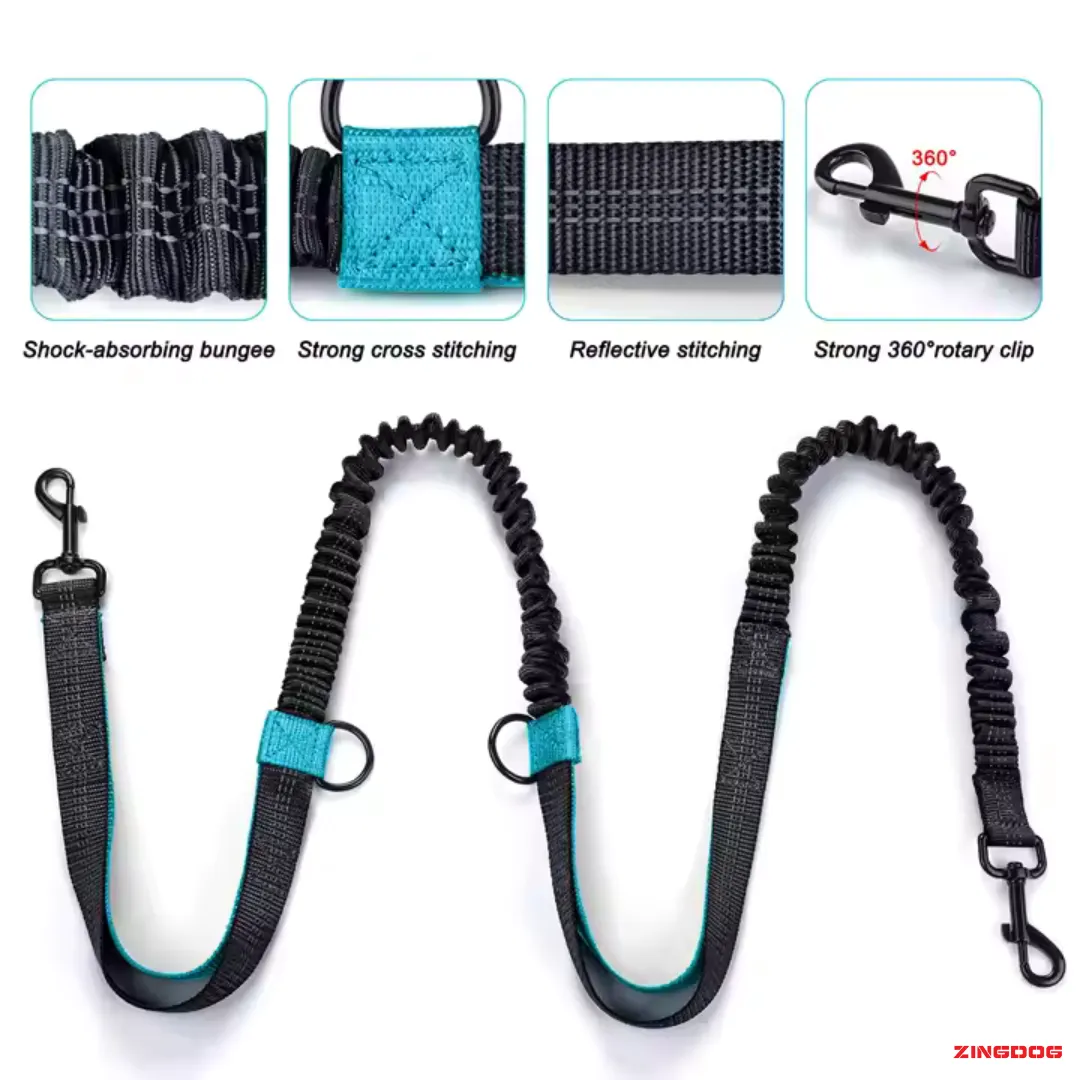 ZINGDOG Hands-Free Dog Leash with Waist Pouch for Running, Walking & Hiking